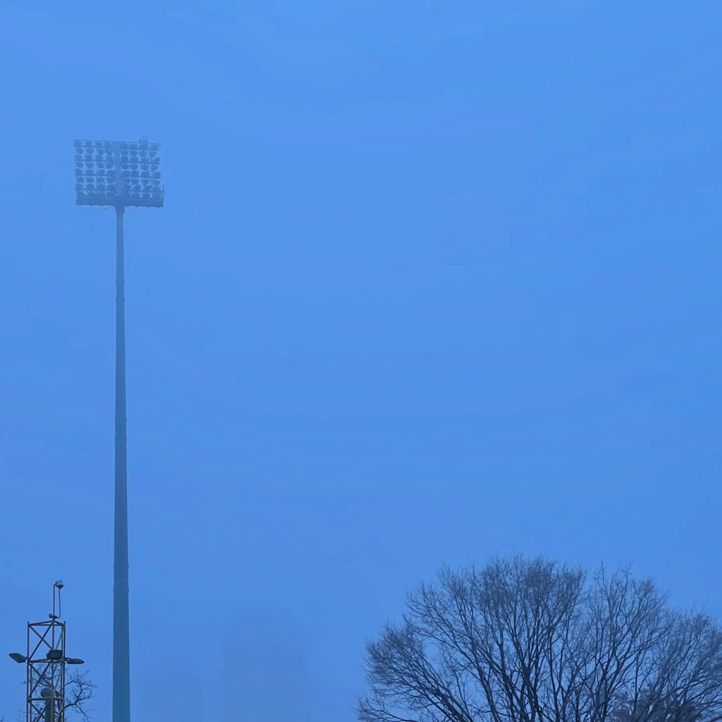 Waiting for the Roar