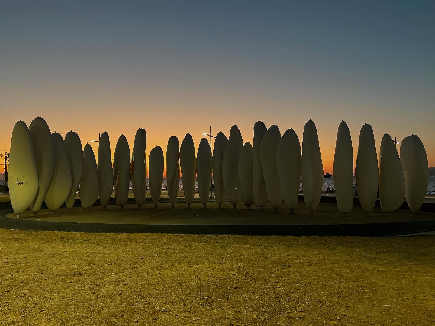 A Parliament of Seeds