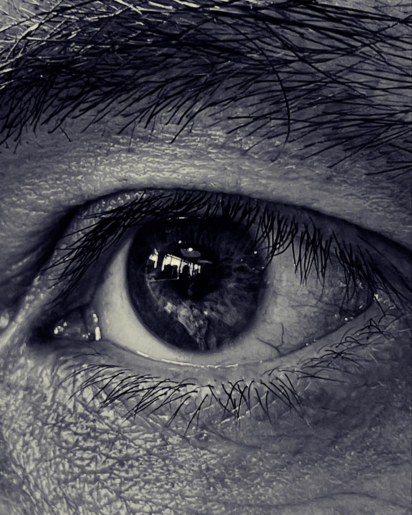 The Room Inside the Gaze